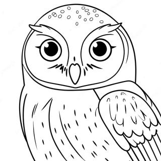 Hedwig de Uil Kleurplaat | Hedwig kleurplaat