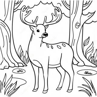 Buck Deer in een Bos Kleurplaat | Buck kleurplaat