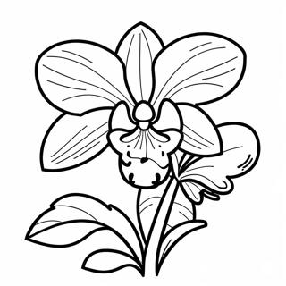 Mooie Orchidee in Bloei Kleurplaat | Orchidee kleurplaat