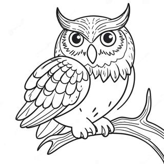 Voltooide Uil Kleurplaat | Voltooide Uil kleurplaat