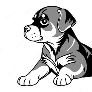 Speelse Rottweiler Puppy Kleurplaat | Rottweiler kleurplaat
