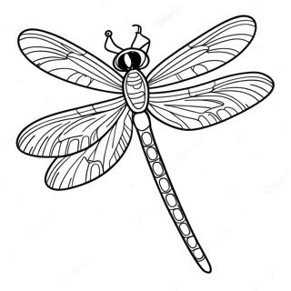 Libelle Kleurplaat | Libelle kleurplaat