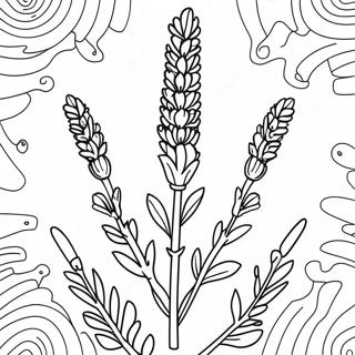 Kleurplaat van Lavendelbloem | Lavendel kleurplaat