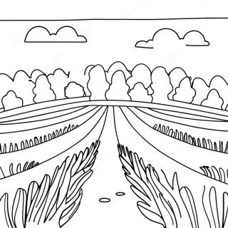 Kleurplaat van Mooi Lavendelveld | Lavendel kleurplaat