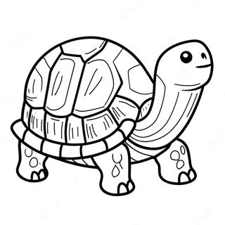 Schildpad Kleurplaat | Schildpad kleurplaat