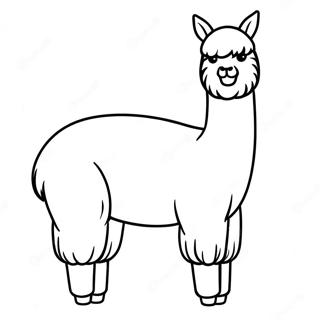 Alpaca Kleurplaat | Alpaca kleurplaat