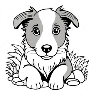 Border Collie Puppy Kleurplaat | Border Collie kleurplaat