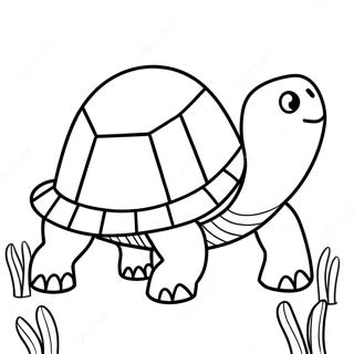Franklin de Schildpad Kleurplaat | Franklin kleurplaat