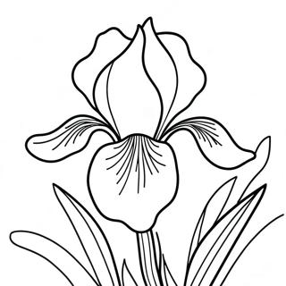 Iris Bloem Kleurplaat | Iris kleurplaat
