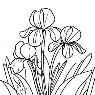 Mooie Iris Tuin Kleurplaat | Iris kleurplaat