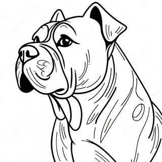 Cane Corso Kleurplaat | Cane Corso kleurplaat