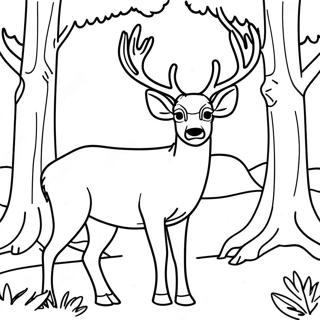 Majestueuze Mule Deer in het Bos Kleurplaat | Mule Deer kleurplaat