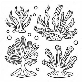 Kleurige Kelp en Algen Kleurplaat | Algen kleurplaat