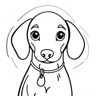 Kleurplaat van een Weimaraner Puppy | Weimaraner kleurplaat