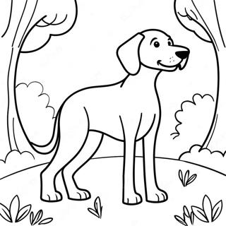 Kleurplaat van een Speelse Weimaraner in het Park | Weimaraner kleurplaat
