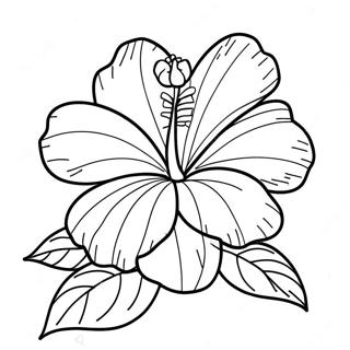Hibiscus Bloem Kleurplaat | Hibiscus kleurplaat