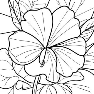 Tropische Hibiscus Kleurplaat | Hibiscus kleurplaat