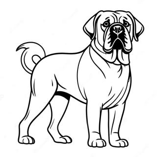 Engelse Mastiff Trots Staand Kleurplaat | Engelse Mastiff kleurplaat