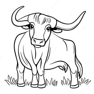 Texas Longhorn Stier Kleurplaat | Texas kleurplaat